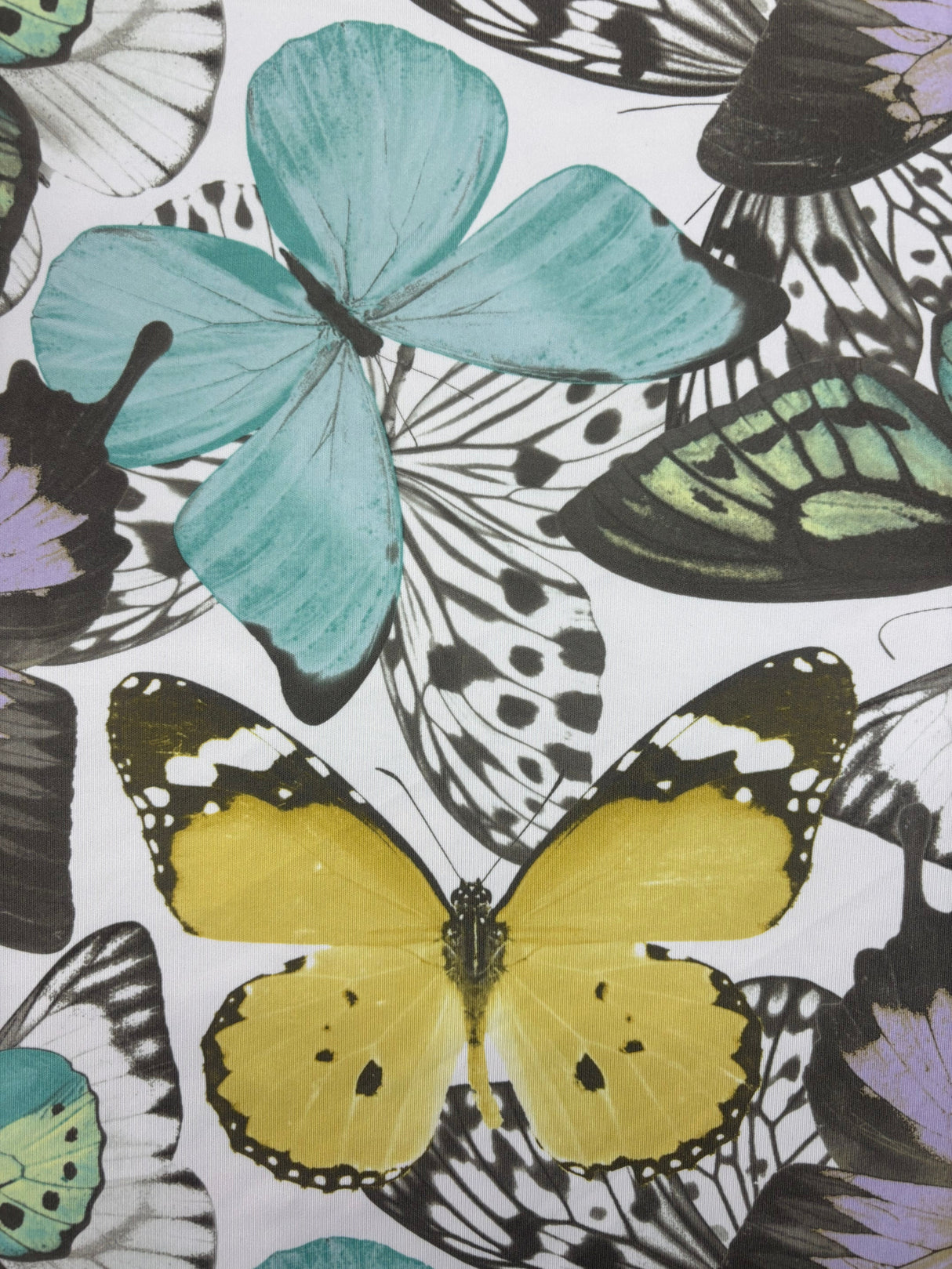 Butterfly Print Polyester Spandex Fabric - Butterfly Print, 58"/60" Width (1 Yard)