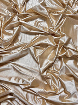 Shiny Nylon Spandex Taupe