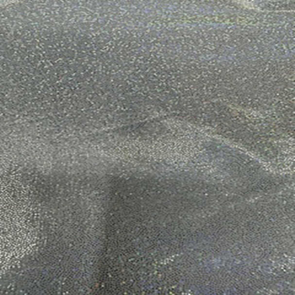 Polyester Spandex Hologram Fabric White Holo Silver