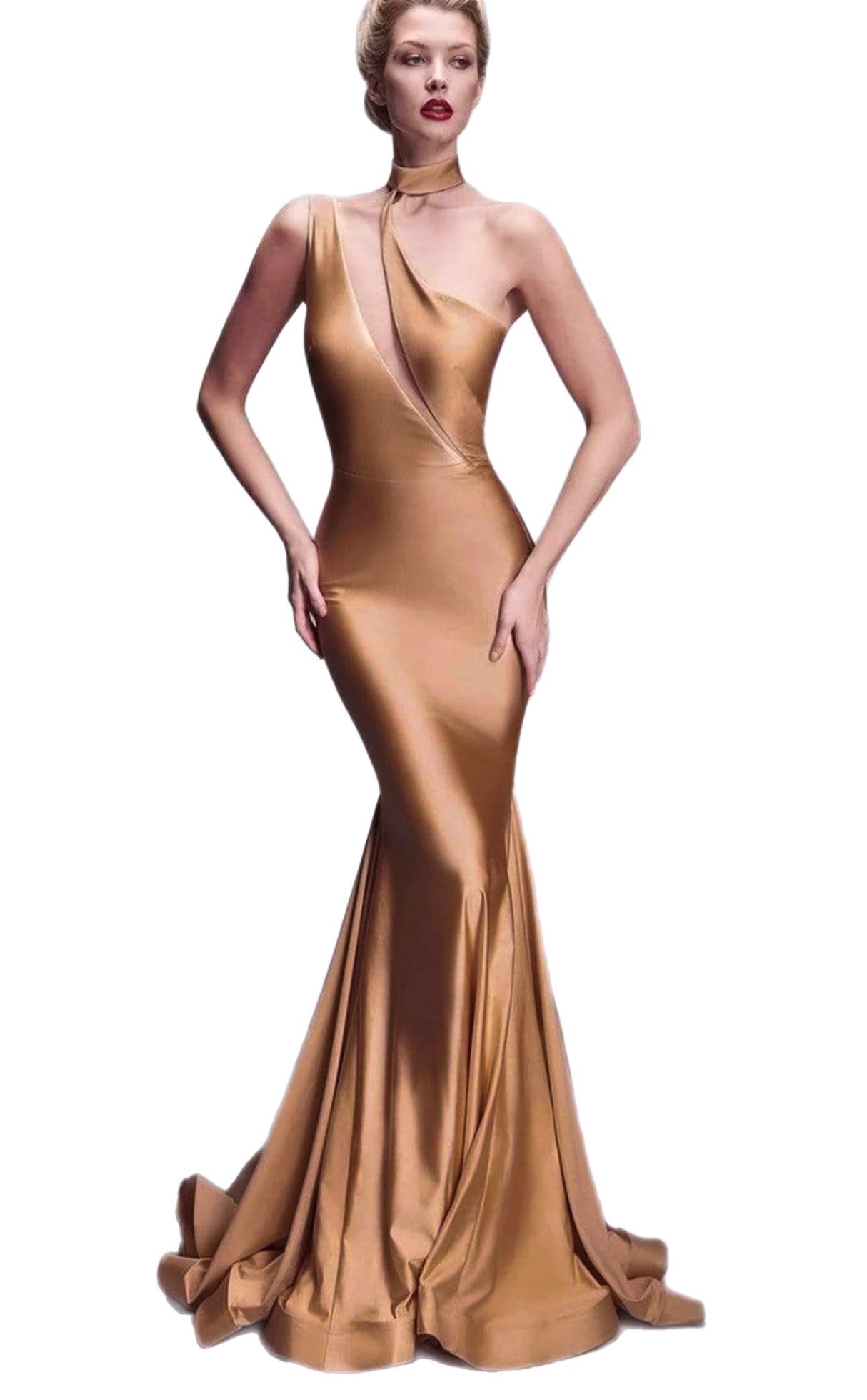 Shiny Nylon Spandex Mocha