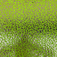 Sahara Leopard Foil Print Nylon Spandex Fabric - Gold/Silver Leopard Print, 58" Width (1 Yard)