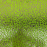 Sahara Leopard Foil Print Nylon Spandex Fabric - Gold/Silver Leopard Print, 58" Width (1 Yard)