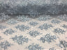 Sequin Lace Fabric With Embroideries On Mesh - 100 Percent Polyester Fabric, Double Scalloped Floral Lace, 51" Width (1 Yard)