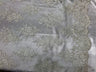 Sequin Lace Fabric With Embroideries On Mesh - 100 Percent Polyester Fabric, Double Scalloped Floral Lace, 51" Width (1 Yard)