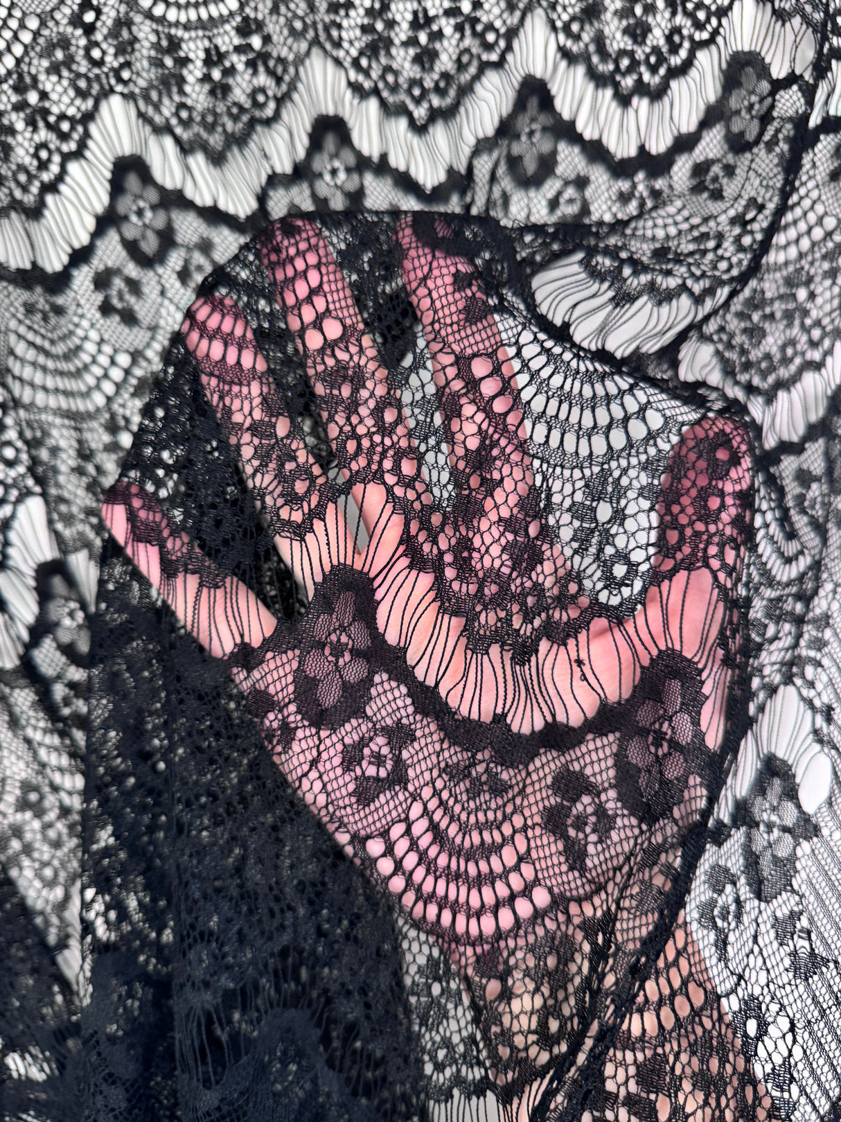 Black French Chantilly Floral Lace