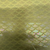 Nylon Spandex 4-Way Stretch Summer Shell Illusion Fabric