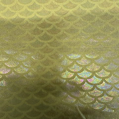 Nylon Spandex 4-Way Stretch Summer Shell Illusion Fabric