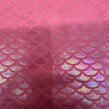 Nylon Spandex 4-Way Stretch Summer Shell Illusion Fabric