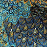 Polyester Spandex Paisley Peacock Fabric 60"