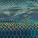 Holographic Nylon Spandex 4-Way Stretch Fabric 60"