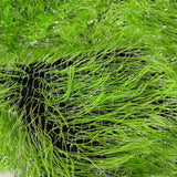 Metallic Faux Fur Tinsel Ostrich Feather Polyester Fabric - Metallic Faux Ostrich Feather, 54" Width (1 Yard)