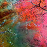 Stretch Polyester Spandex Tie-Dye Velvet Fabric 60"