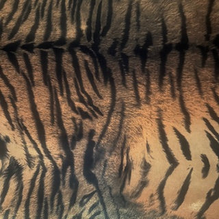 Tiger Foil Polyester Spandex Tricot Fabric