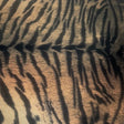 Tiger Foil Polyester Spandex Tricot Fabric