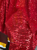 Stretch Sequin Mesh Red Striped