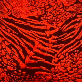 Nylon Spandex Animal Hologram Foil Fabric 60"