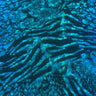 Nylon Spandex Animal Hologram Foil Fabric 60"