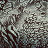 Nylon Spandex Animal Hologram Foil Fabric 60"