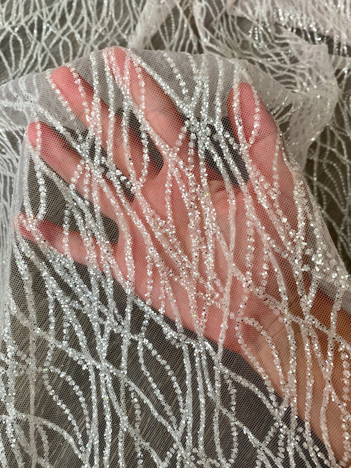 Glitter Lace on Mesh Silver White
