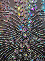 Silver Iridescent Rhinestone Bodice Applique