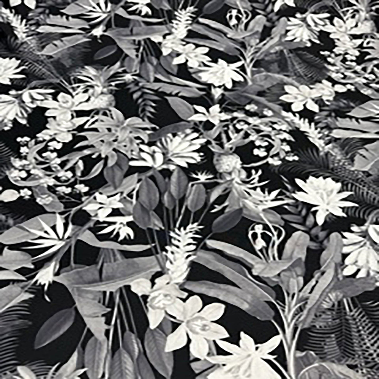 Polyester Spandex Paradise Paper Print Fabric 60"
