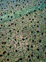 Stretch Sequin Beaded Pearl Mesh