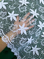 Bridal White Dainty Lace on Mesh