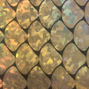 Nylon Spandex Hologram Mermaid Shell Fabric