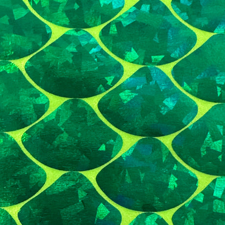 Nylon Spandex Hologram Mermaid Shell Fabric