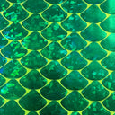 Nylon Spandex Hologram Mermaid Shell Fabric