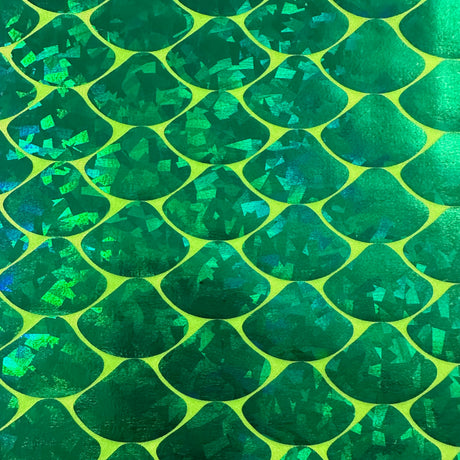 Nylon Spandex Hologram Mermaid Shell Fabric