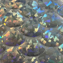 Nylon Spandex Hologram Mermaid Shell Fabric