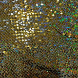 Polyester Flipper Sequin Mesh Fabric Gold Silver 50"