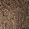 1 Yard Luxurious Mongolian Long Pile Faux Fur Fabric 58"/60" Width