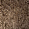 Faux Fur Fabric Mongolian Long Pile