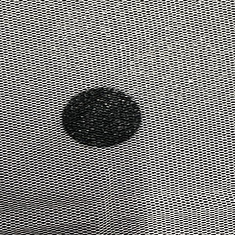 Mesh Fabric Flocked Dot Black 50"