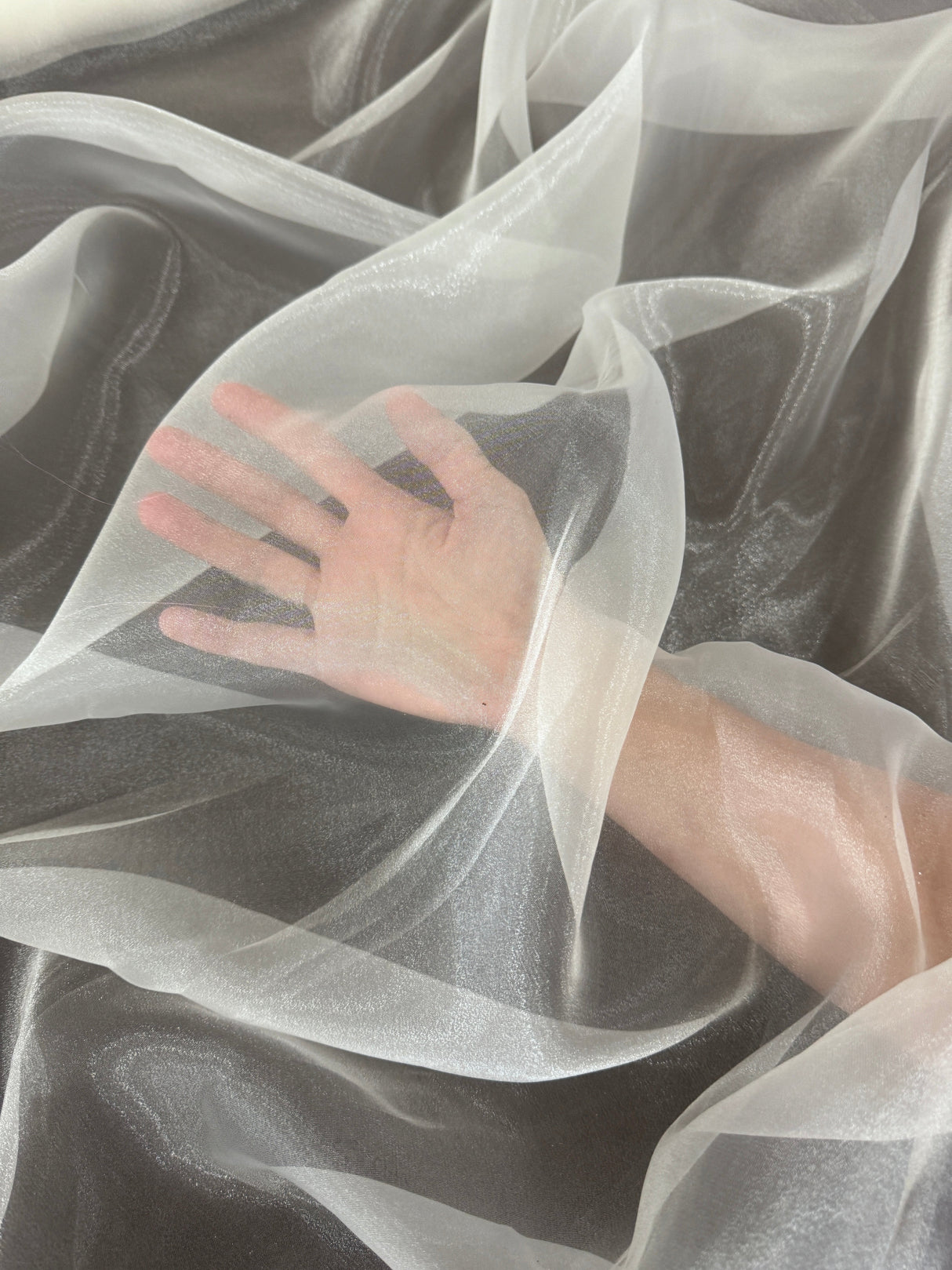 Sheer Crystal Organza Ivory