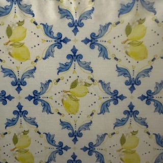 Nylon Spandex Tricot Lemon Swim Fabric 60" White