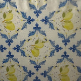 Nylon Spandex Tricot Lemon Swim Fabric 60" White