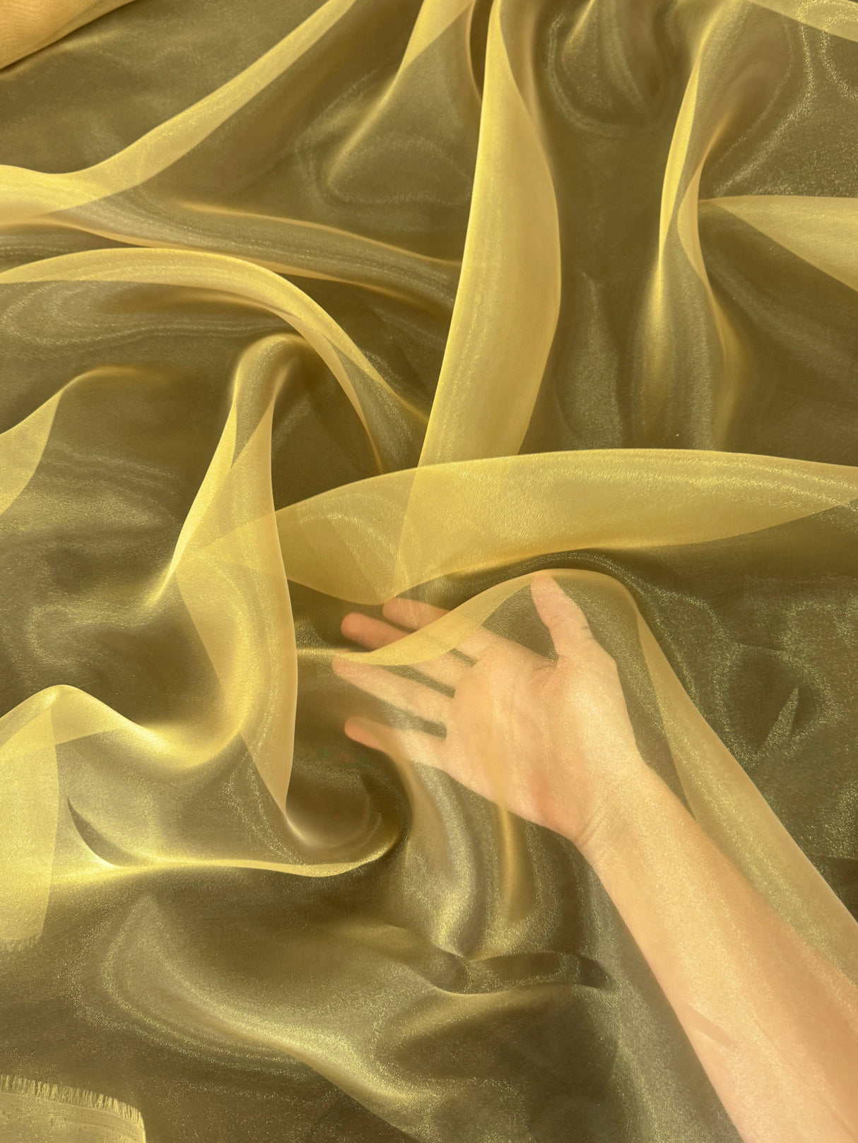 Gold Crystal Organza