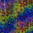 Polyester Spandex Peacock Print Hologram Fabric