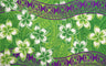 Plumeria Double Border Polyester Fabric - Traditional Tattoo Background, Plumeria Floral Border, 70" L X 44 1/2" W (1 Sarong)