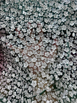 Stretch Sequin Flowers on Hunter Green Mesh