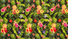 Tropical Paradise Sarong 100 Percent Polyester Fabric - Pineapple And Tropical Flower Print, 72" L X 41 1/2" W (1 Sarong)