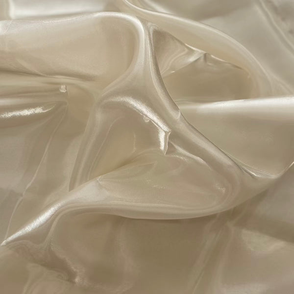 Reflective Liquid Organza Fabric