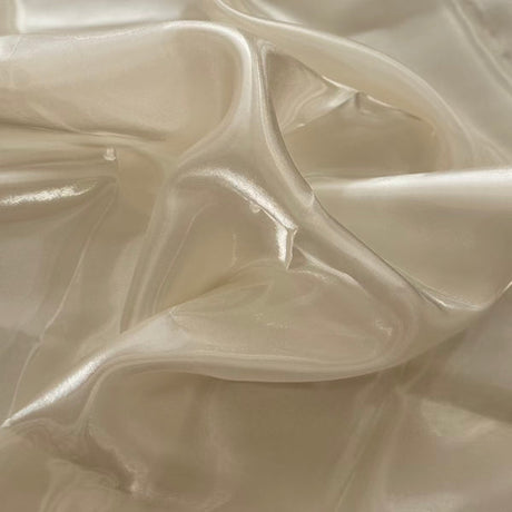 Reflective Liquid Organza Fabric