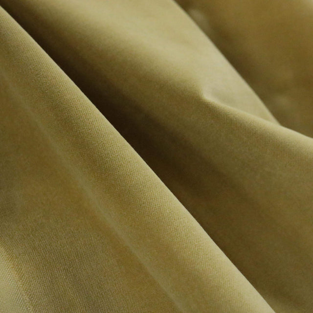 Cotton Velvet Upholstery Fabric Bowie