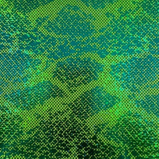 Nylon Spandex Double Foil Snake Print Fabric