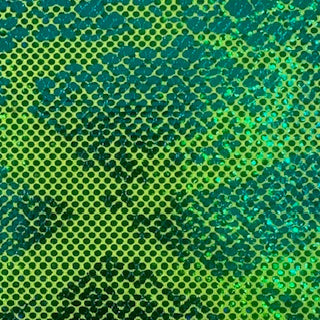 Nylon Spandex Double Foil Snake Print Fabric