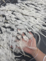 Feather Sequin Embroidered Scalloped Lace